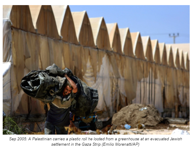 Sep 2005: A Palestinian carries a plastic roll he looted from a greenhouse at an evacuated Jewish settlement in the Gaza Strip (Emilio Morenatti/AP)